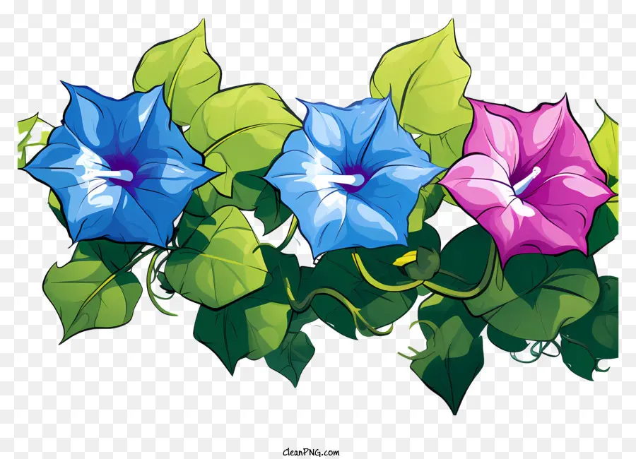 Flor Da Glória Da Manhã Estilo Doodle，Flores Da Glória Da Manhã PNG