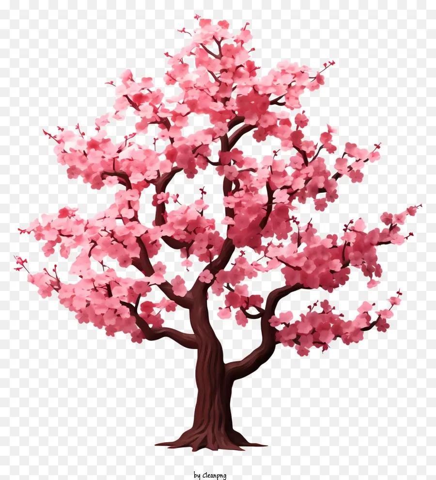 Papel Em Branco Com Flores De Cerejeira，Flor De Cereja árvore PNG