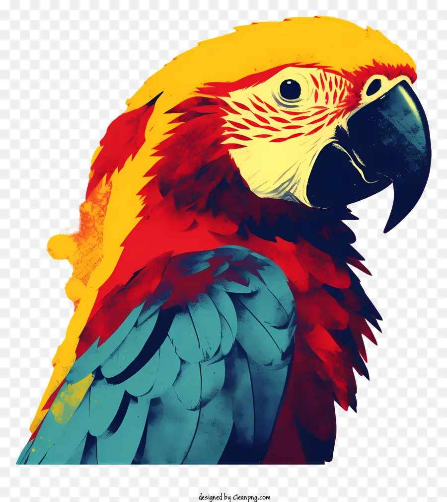 Papagaio，Pintura De Papagaio PNG