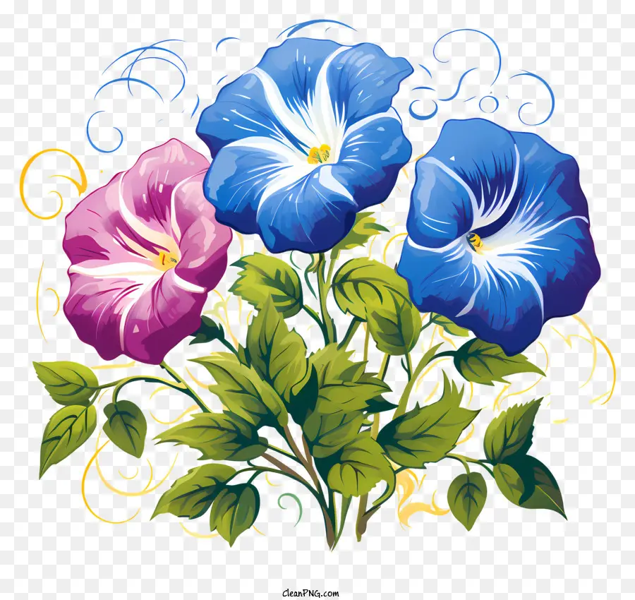 Flor Da Glória Da Manhã Estilo Doodle，Buquê PNG