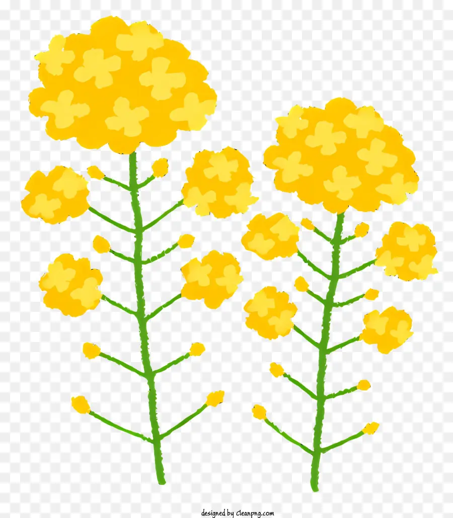 Flor，Flores Amarelas PNG