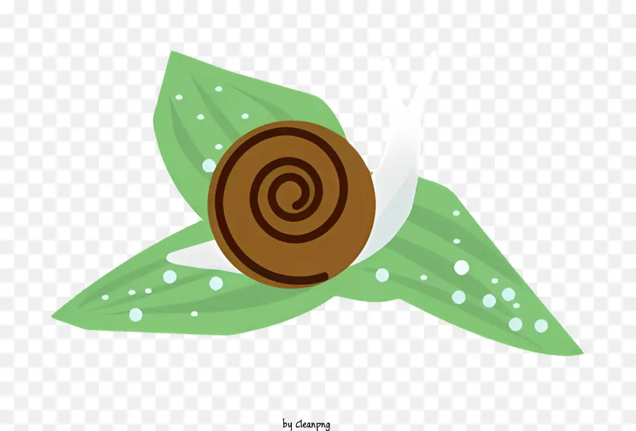 Caracol，Folha PNG