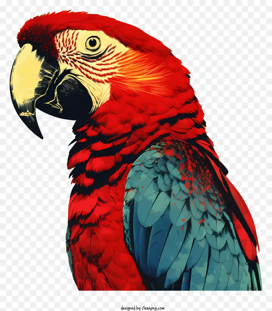 Papagaio，Papagaio Vermelho PNG