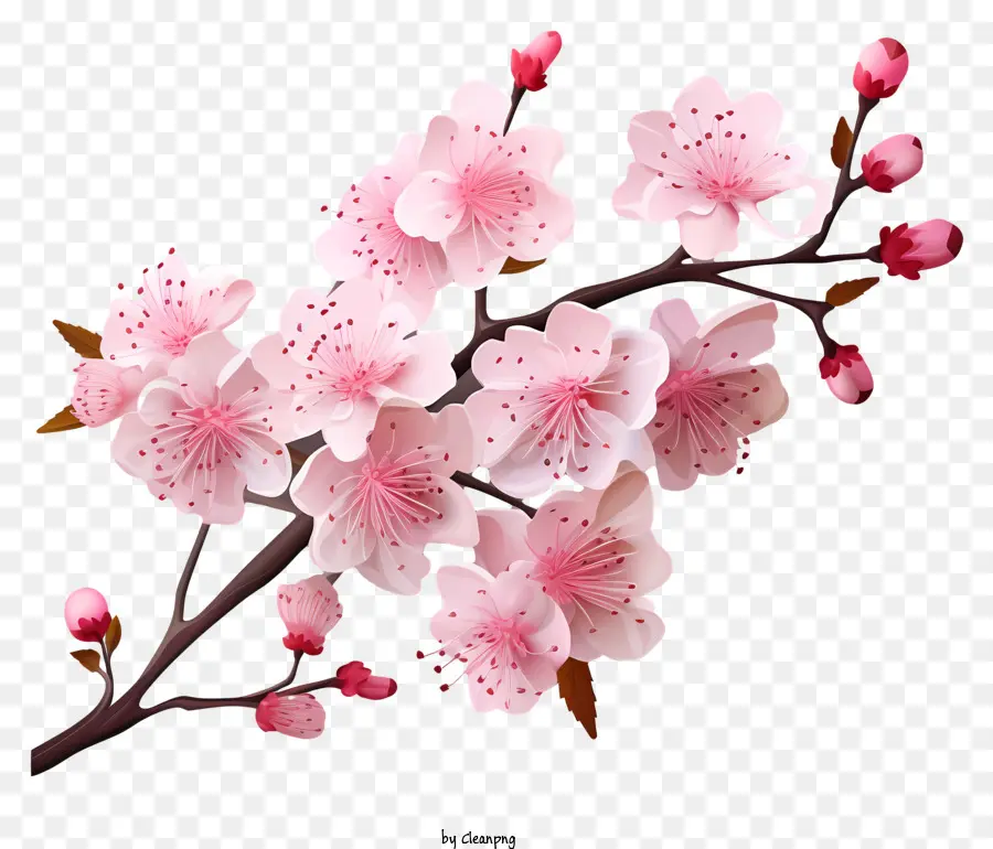 Blossom Realista De Filial De Cereja Em Estilo 3d，Sakura PNG