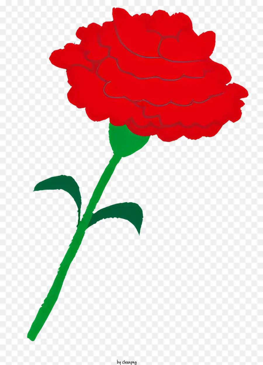 Flor，Cravo Vermelho PNG