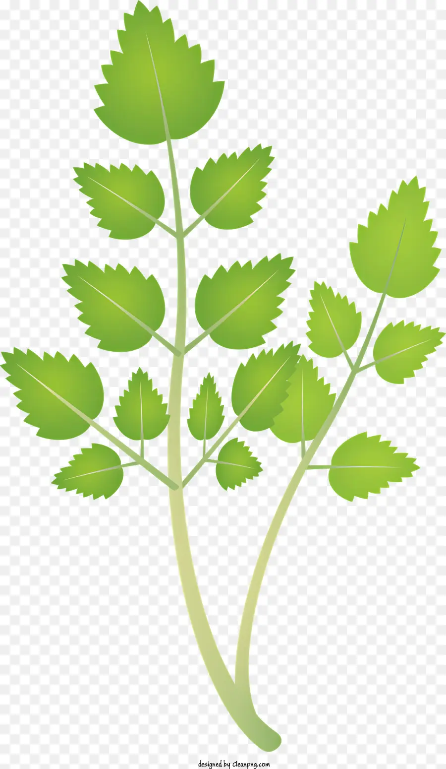 Vegetal，Pequena Planta PNG