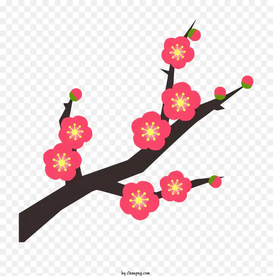 árvore De Sakura，Flores Cor De Rosa PNG