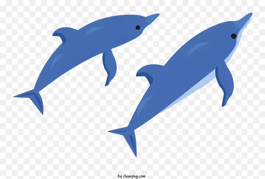 Os Golfinhos，Oceano PNG
