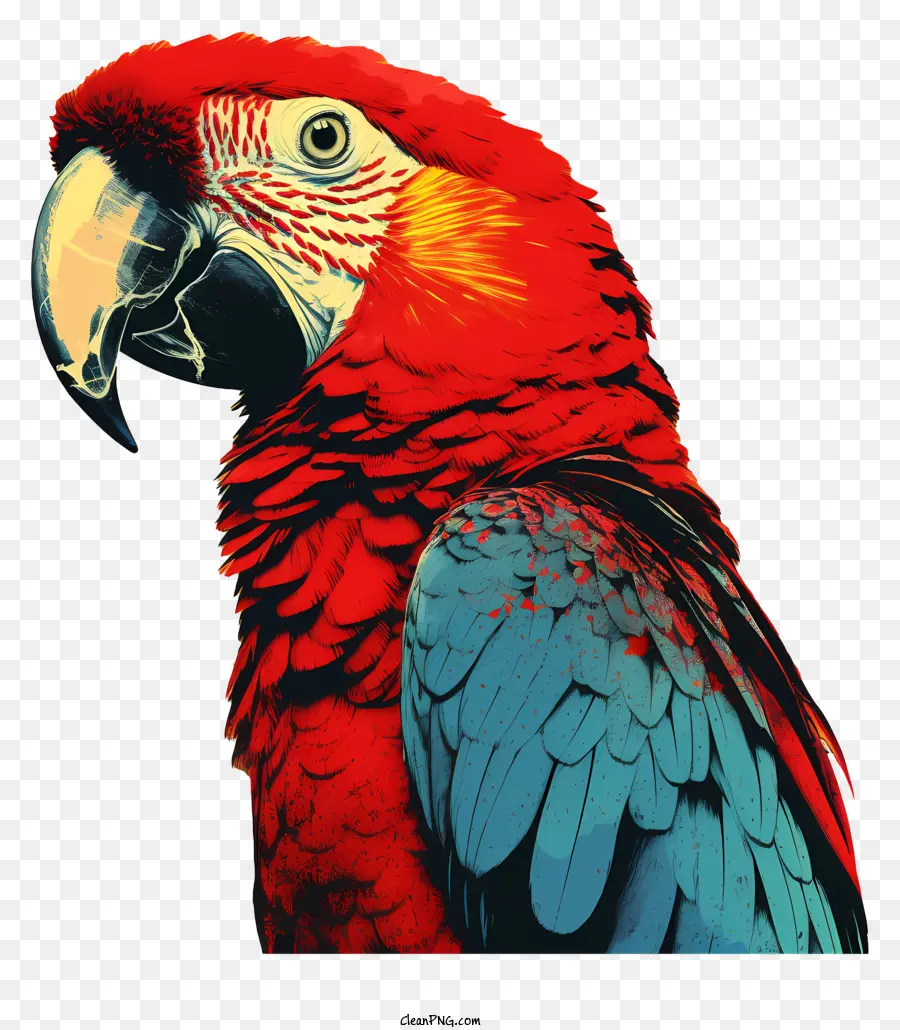 Papagaio，Parrot Vermelho E Azul PNG
