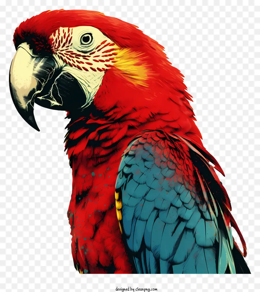 Papagaio，Parrot Colorido PNG