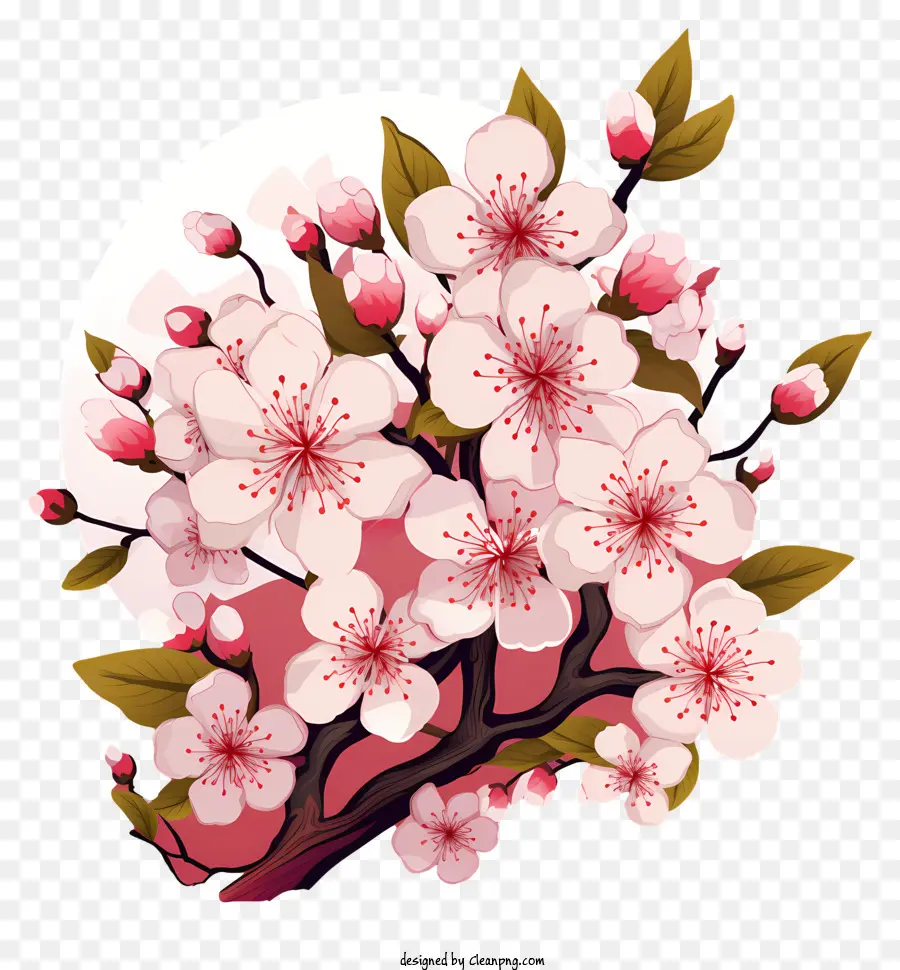 Blossom De Filial De Cereja No Estilo Doodle，Sakura PNG