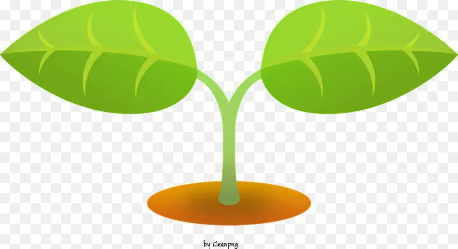 Pequena Planta，Pote Com Solo PNG