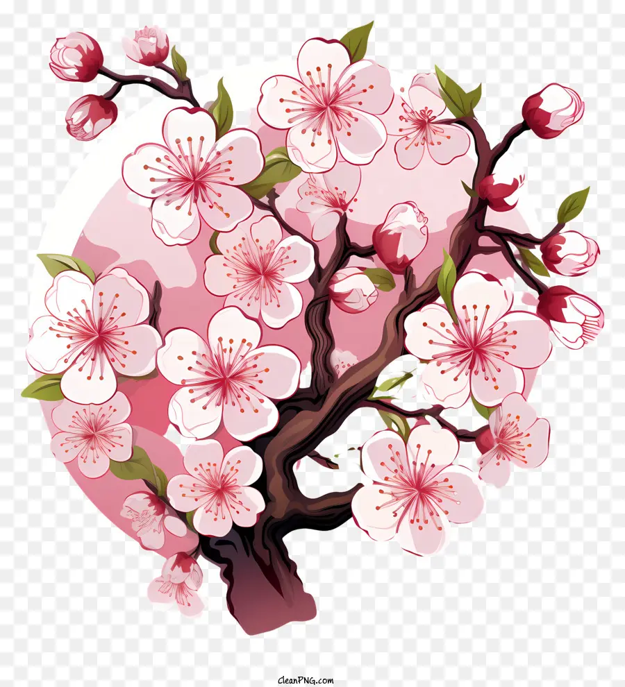 Blossom De Ramo De Cereja No Estilo Doodle，árvore De Sakura PNG