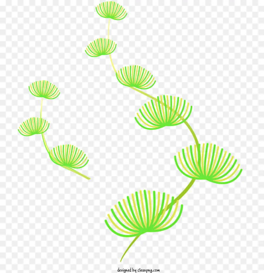 Planta Verde，Deixa PNG