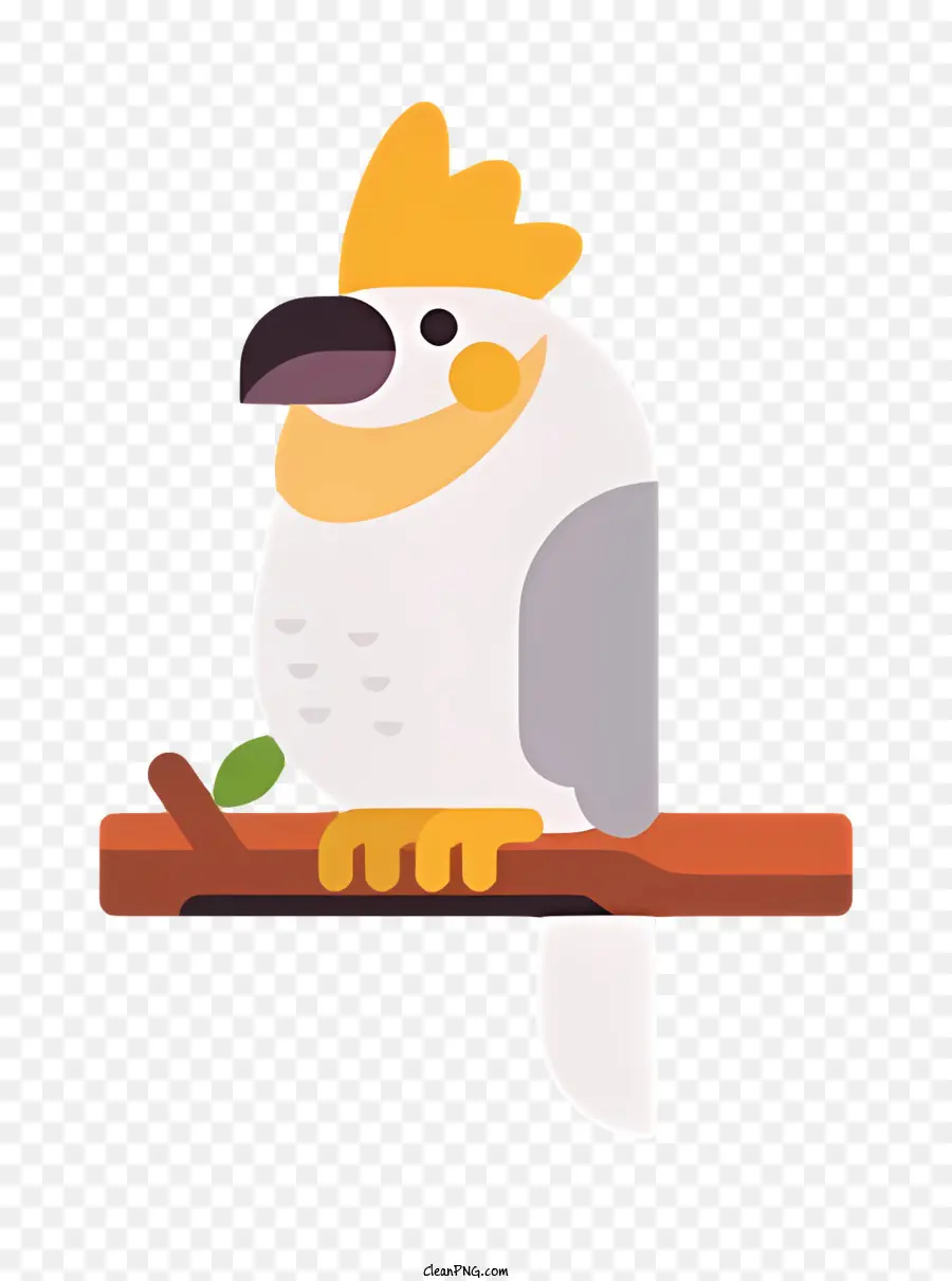 Parrot De Pássaro，Aves PNG