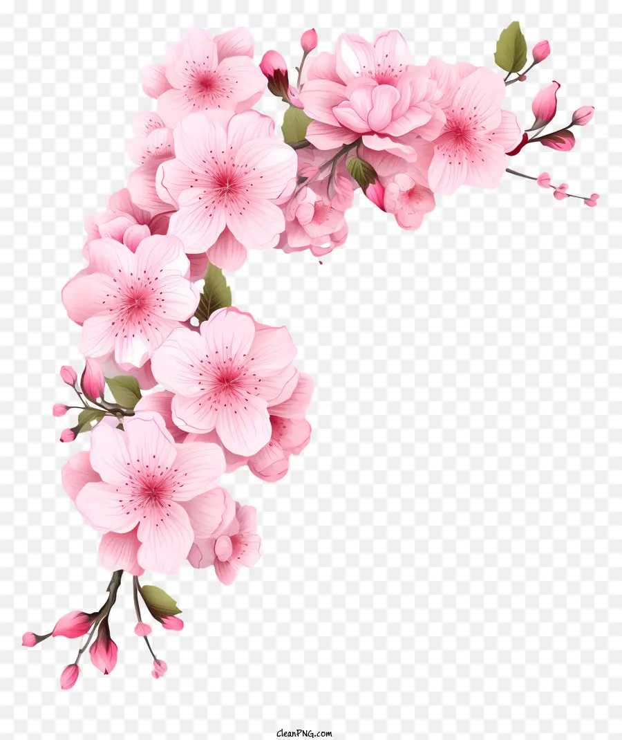Papel Em Branco Com Flores De Cerejeira，Arranjo De Flor Rosa PNG