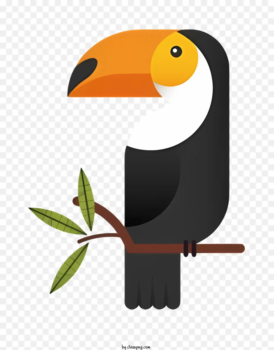 Parrot De Pássaro，Ilustração De Toucan PNG
