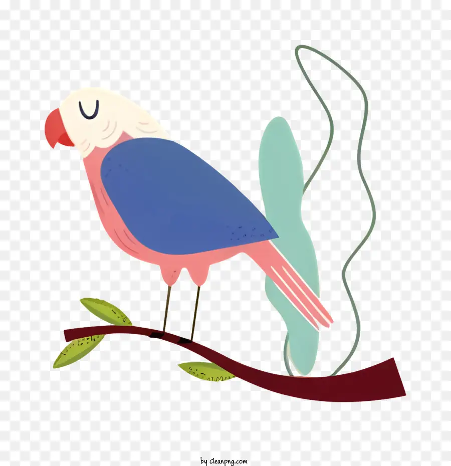 Parrot De Pássaro，Cartoon Pássaro PNG