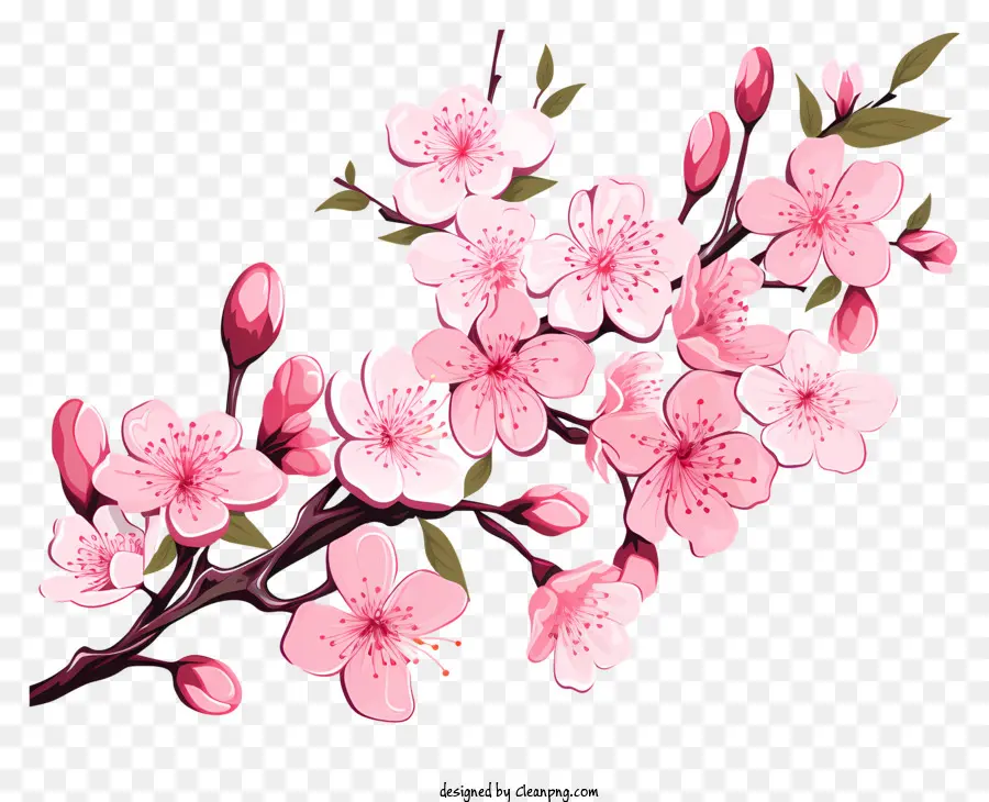 Blossom De Filial De Cereja Plana，Sakura Flor PNG