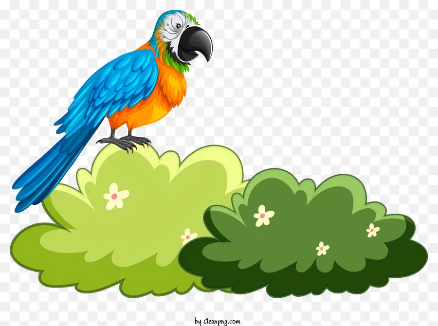 Parrot De Pássaro，Arara Azul E Amarela PNG