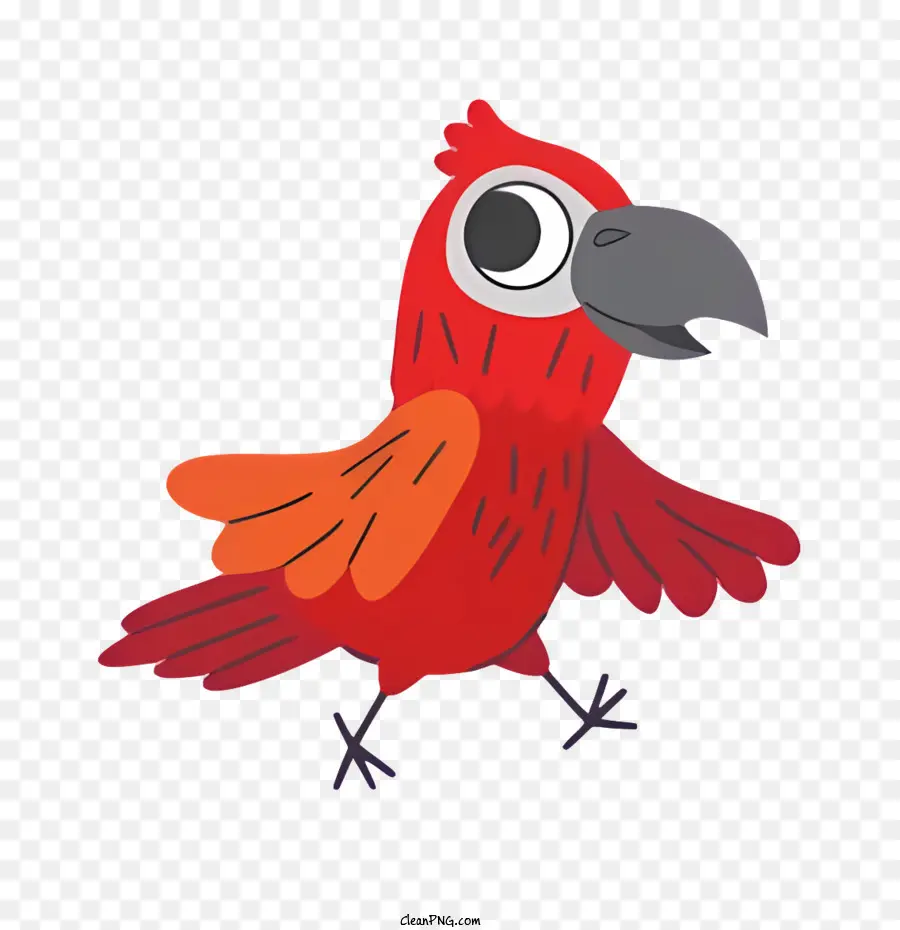 Parrot De Pássaro，Pássaro Vermelho PNG