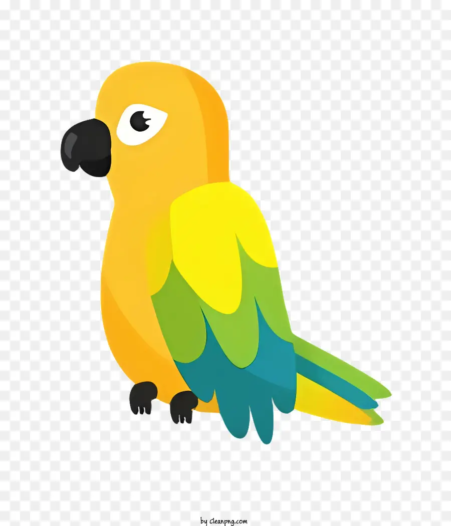 Parrot De Pássaro，Pássaro Amarelo PNG