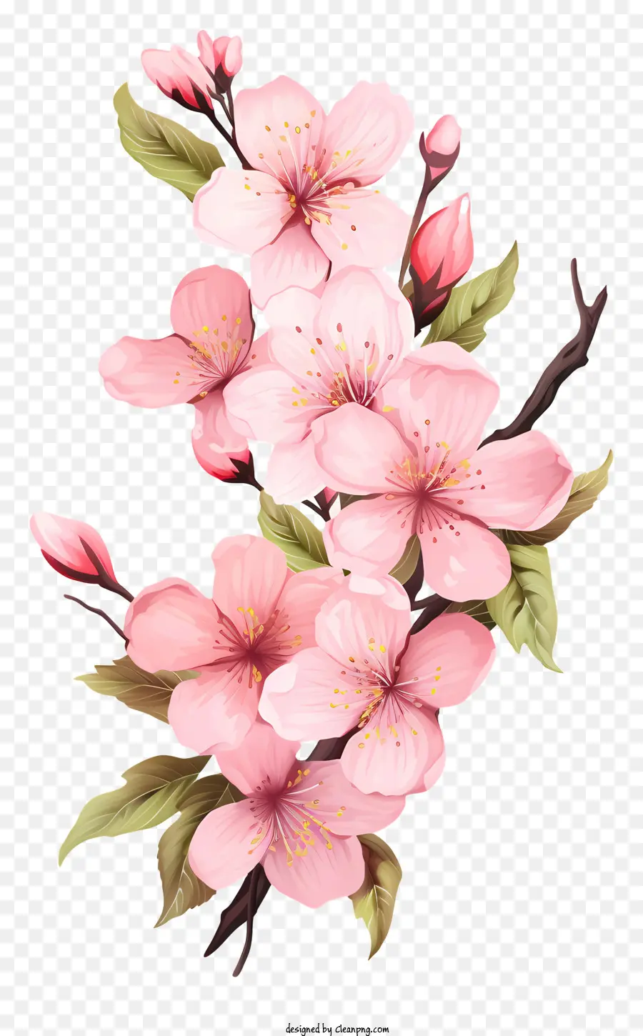 Sakura Flor Ford，Flor De Cerejeira PNG