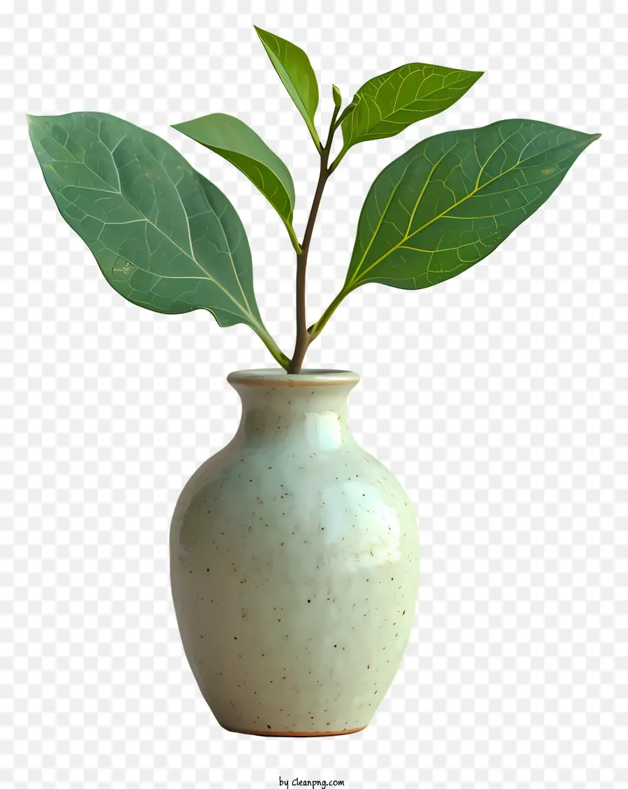 Vaso，Plantar PNG