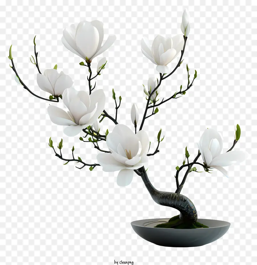 Arranjo De Flores Zen，Árvore De Floração Branca PNG