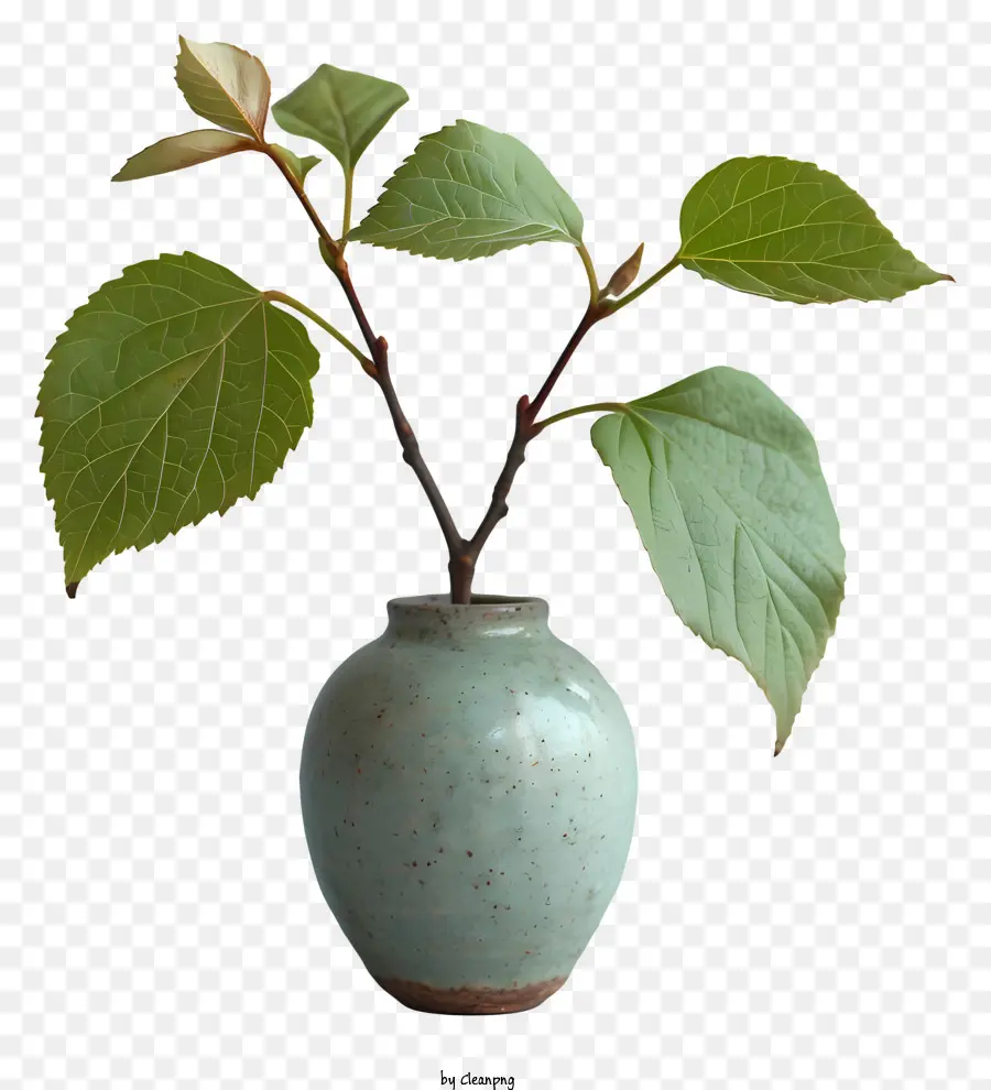 Vaso，Vaso De Cerâmica Verde PNG