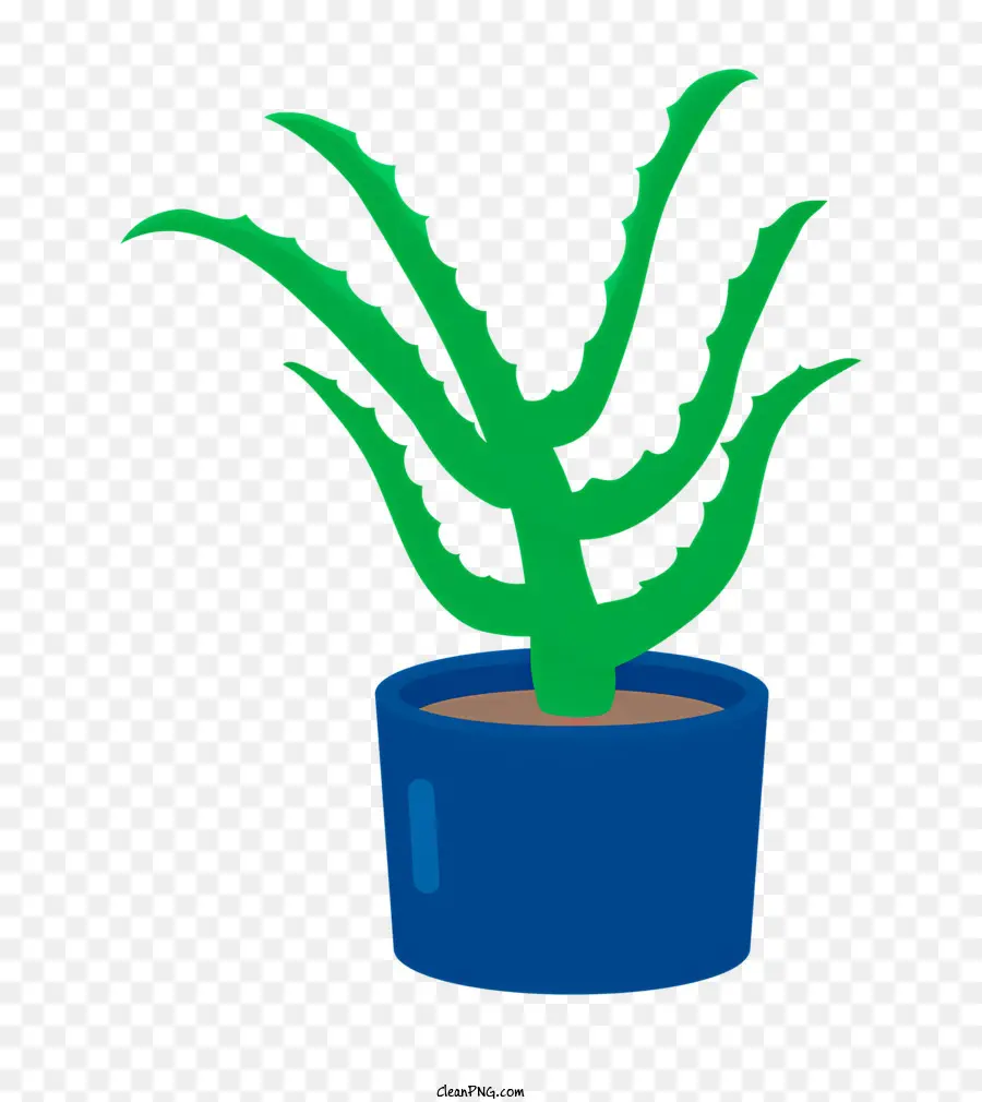 Planta Aloe Vera，Planta De Casa PNG