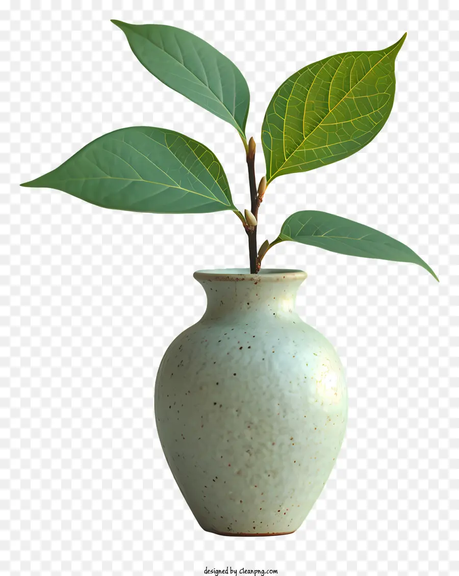 Vaso，Pequeno Vaso De Cerâmica PNG