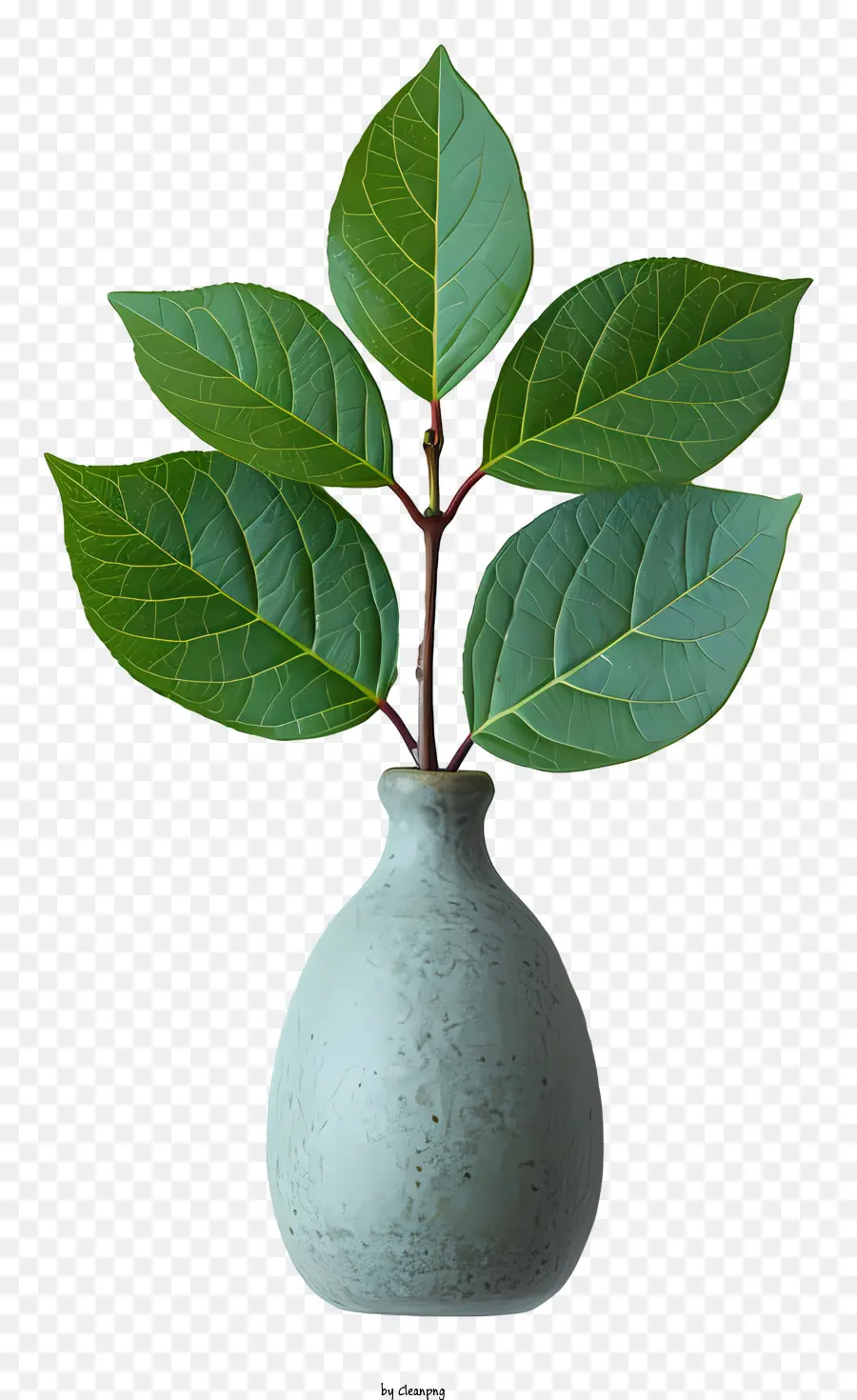 Vaso，Planta Verde PNG