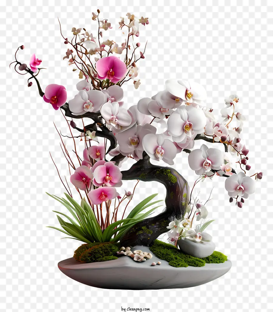 Arranjo De Flores Zen，Uma árvore Bonsai PNG