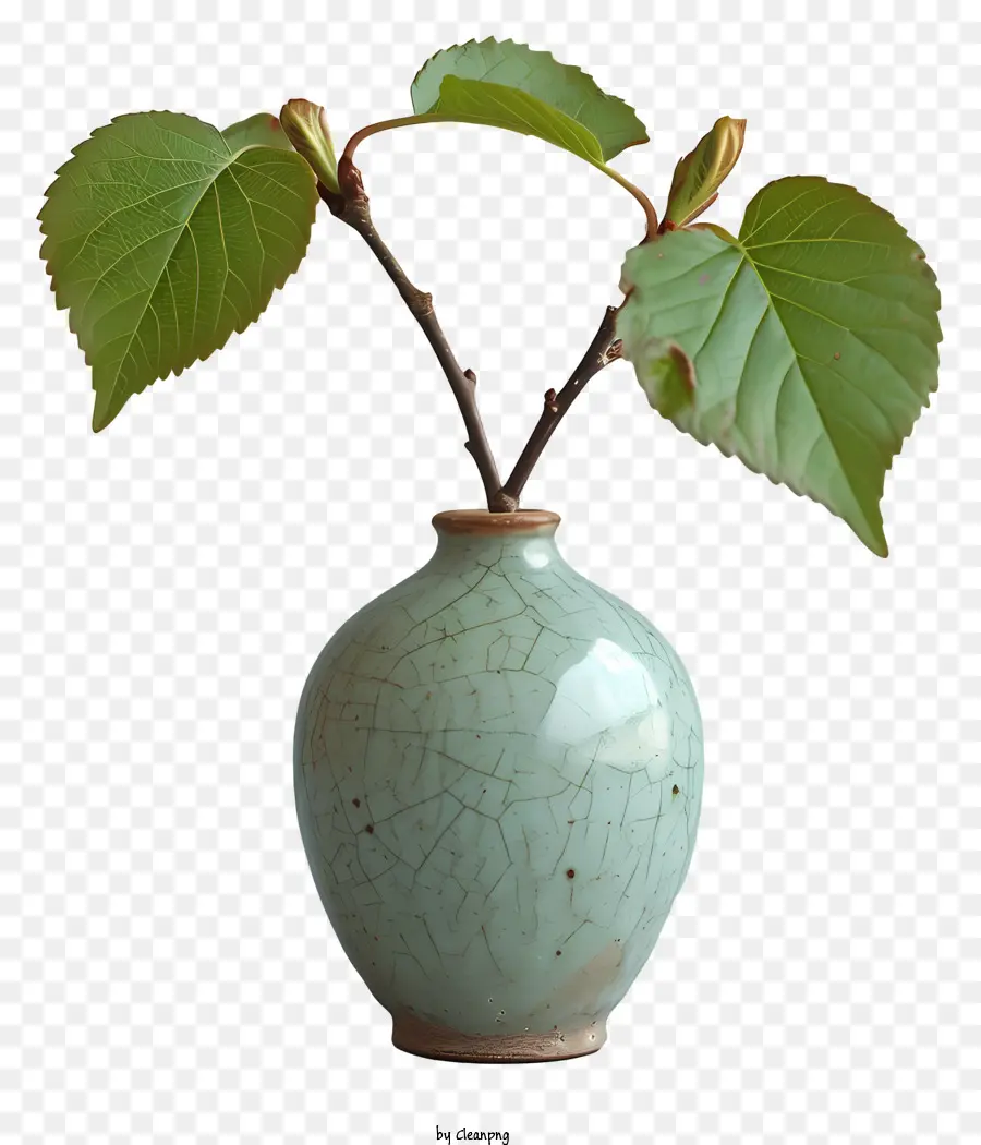 Vaso，Pequeno Vaso Verde PNG