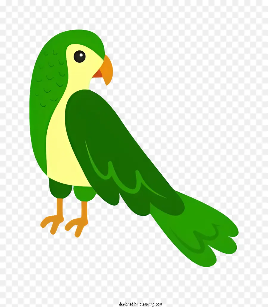 Parrot De Pássaro，Papagaio Verde PNG