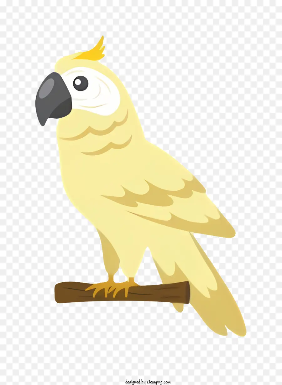 Parrot De Pássaro，Pássaro Amarelo PNG
