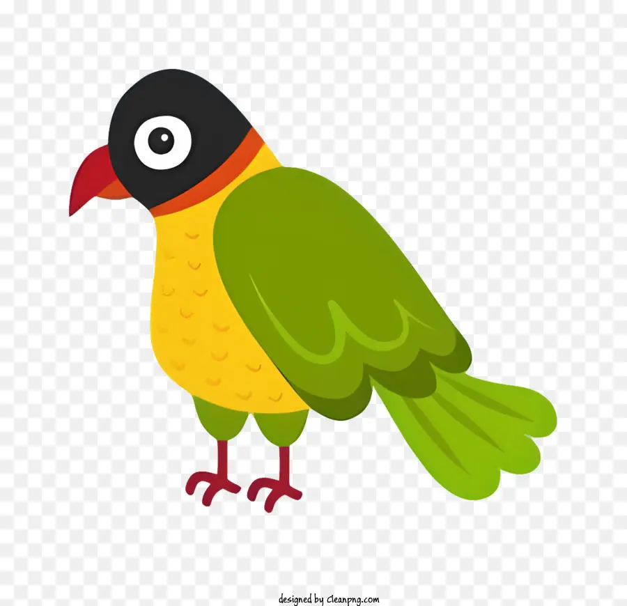 Parrot De Pássaro，Pássaro Ilustração PNG