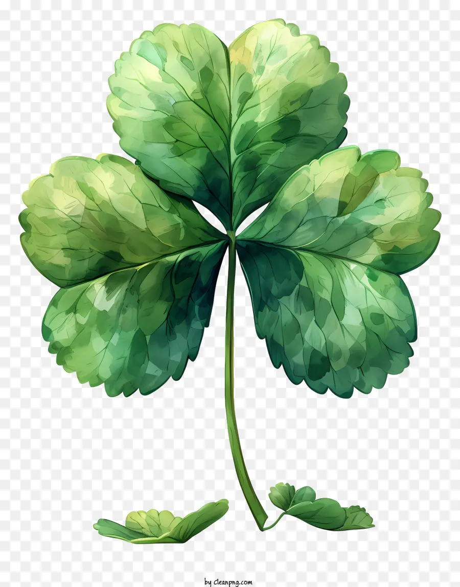 Shamrock，Do Trevo Da Folha PNG