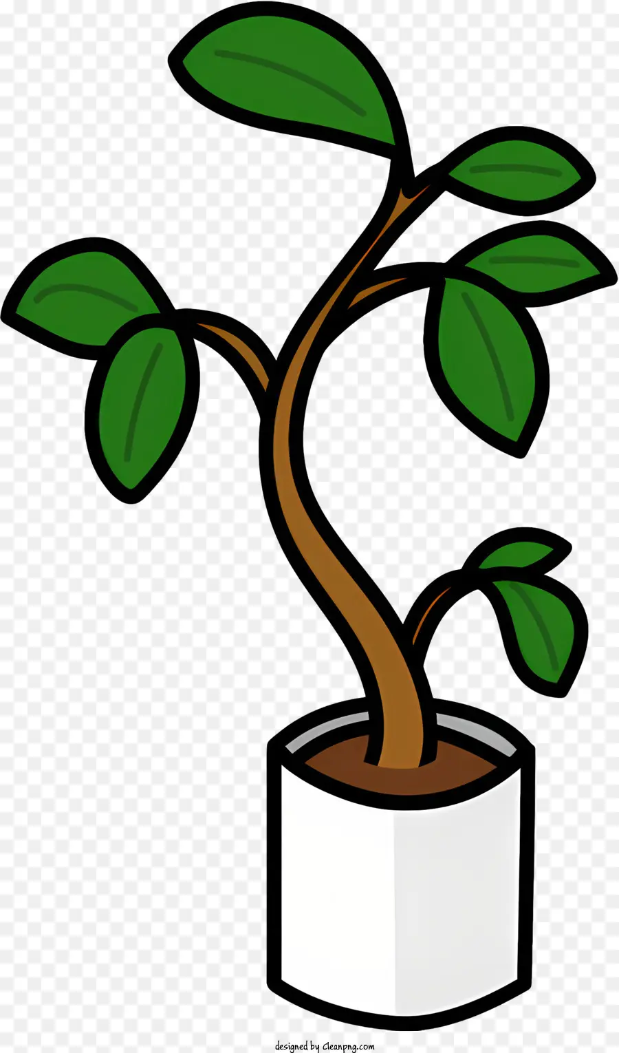 Uma árvore Bonsai，Branco Pote PNG