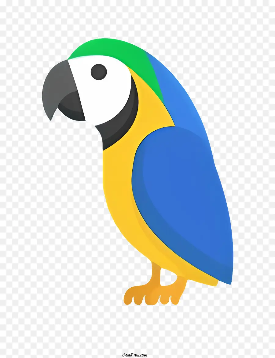 Parrot De Pássaro，Papagaio PNG