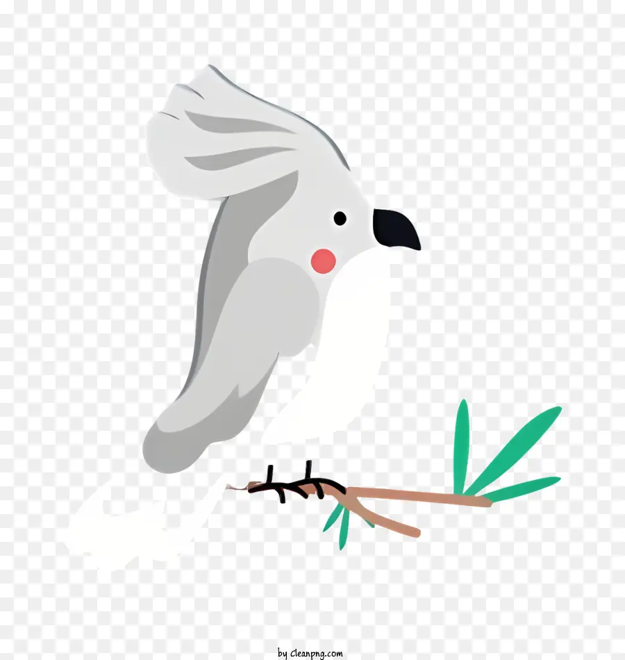 Parrot De Pássaro，Pássaro Branco PNG