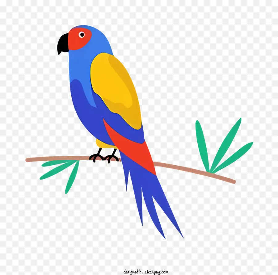 Parrot De Pássaro，Papagaio PNG