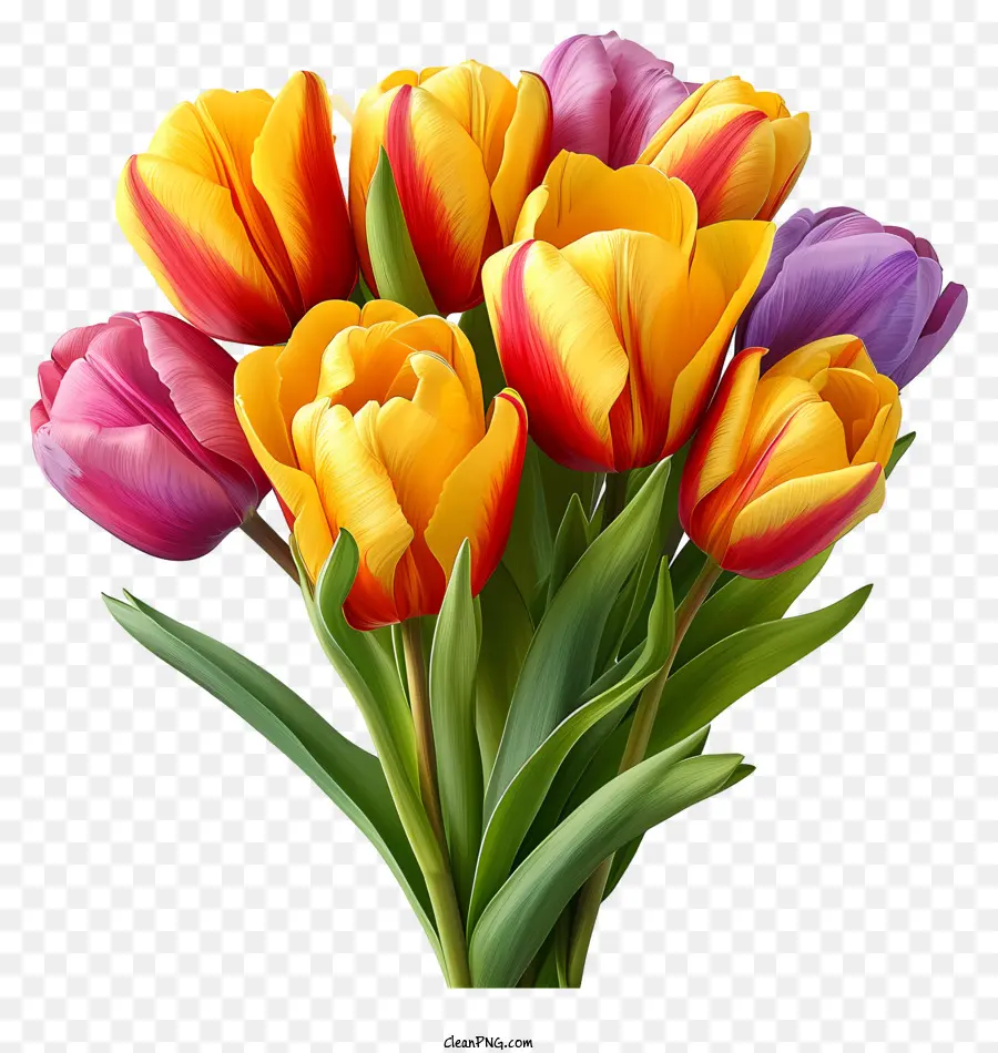 Bouquet De Tulips De Tintas Multicoloridas，Buquê PNG