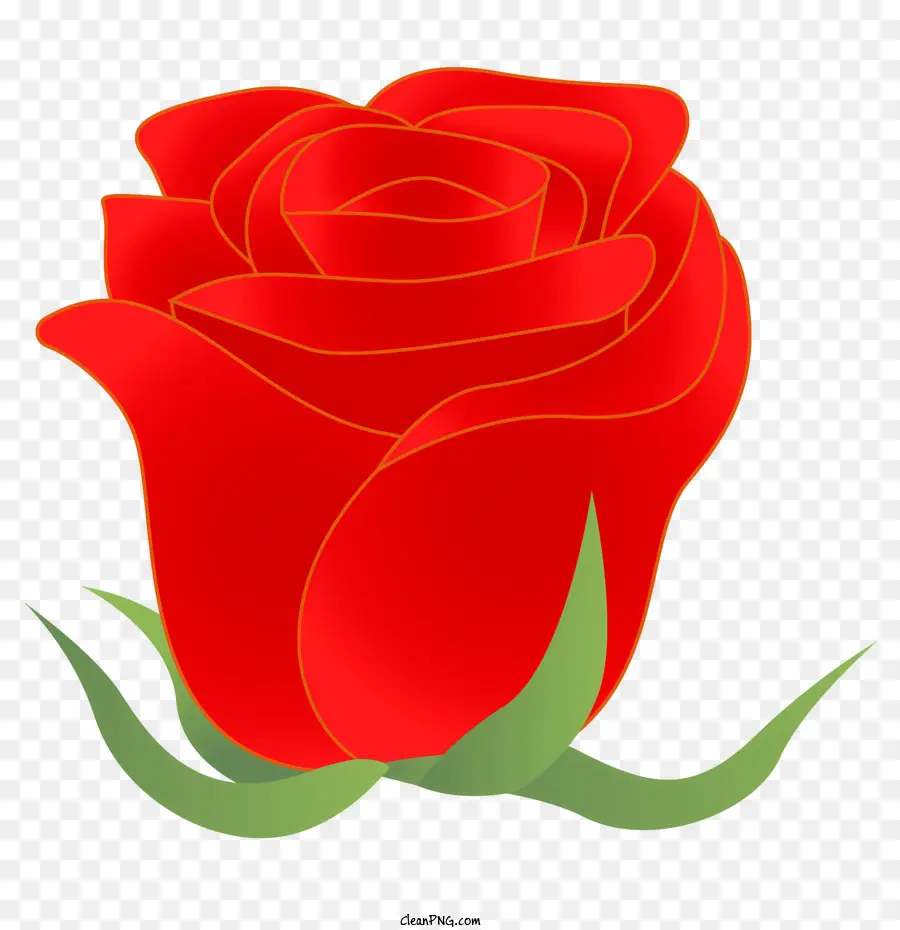 Rosa，Rosa Vermelha PNG