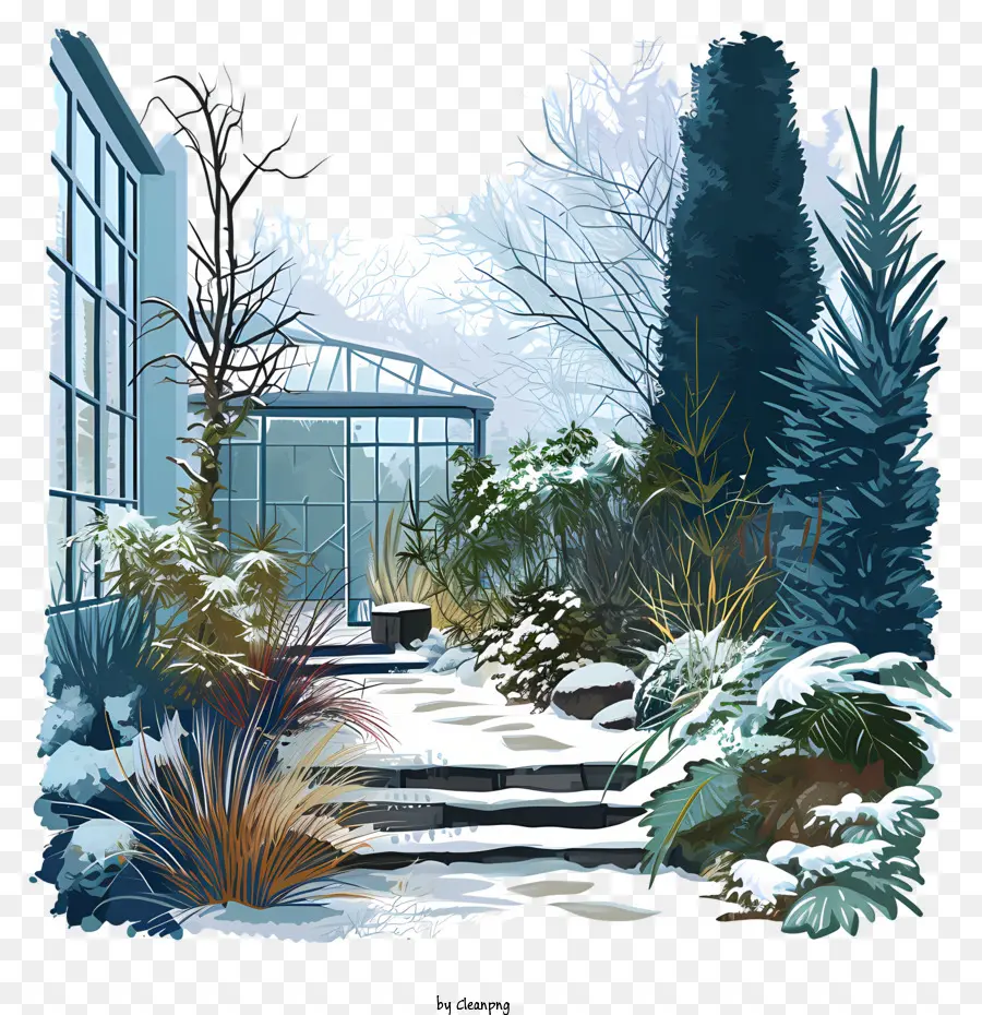 Jardim De Inverno，Espaço Ao Ar Livre Com Neve PNG