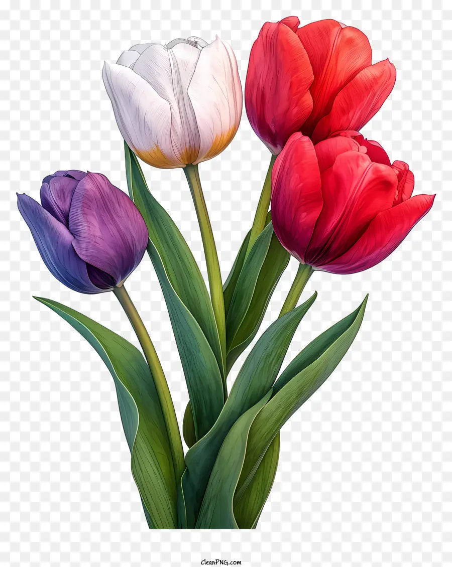 Buquê De Tulipas De Estilo De Esboço，Pintura PNG