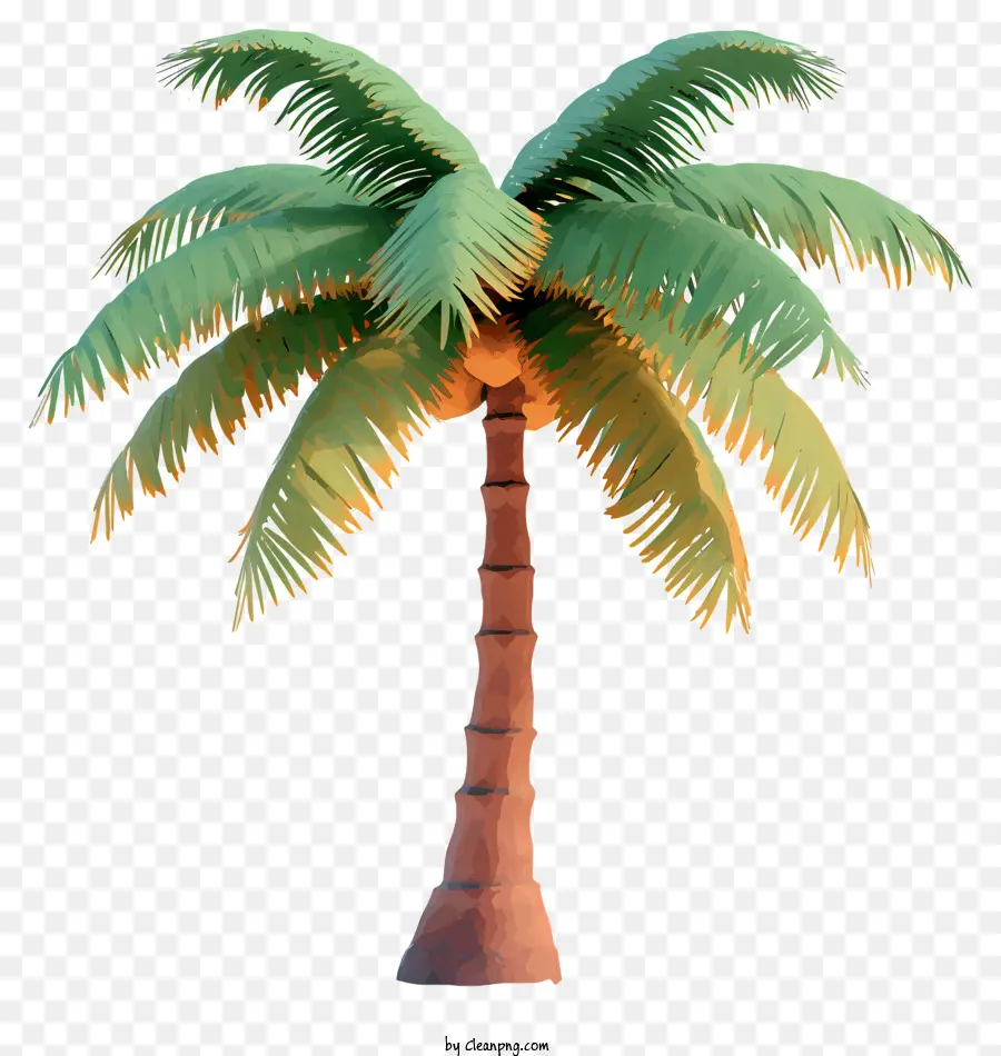 Árvore De Coco Plana，Palmeira Verde PNG
