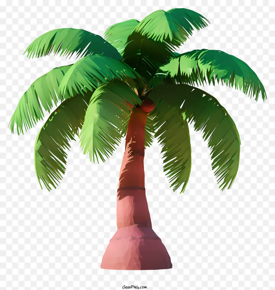 árvore De Coco De Estilo Realista，Palmeira PNG