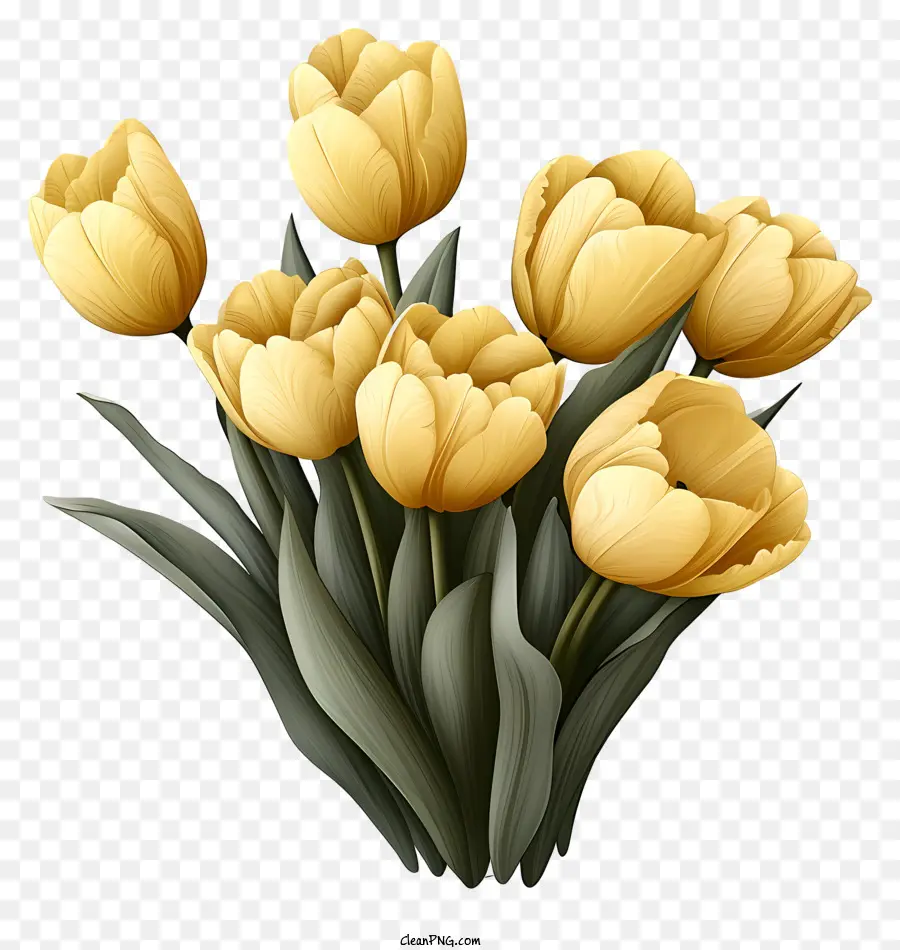 Buquê De Tulipas De Estilo De Esboço，Tulipas Amarelas PNG